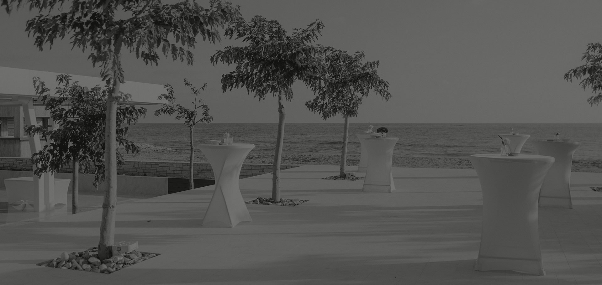 Coral Residences Weddings & Events — photo 2